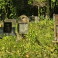 Evangelický hřbitov v Karviné