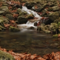 Potok Bučací