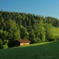 Švýcarsko (Wald) a okolí